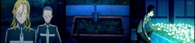 SAO